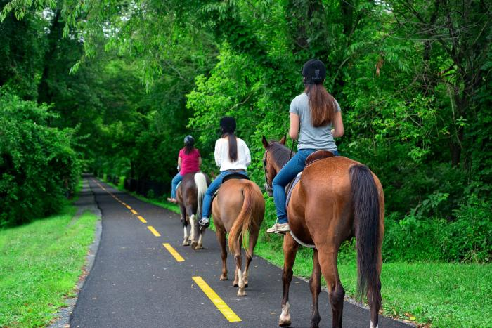 Horseback Riding Vacation In Virginia