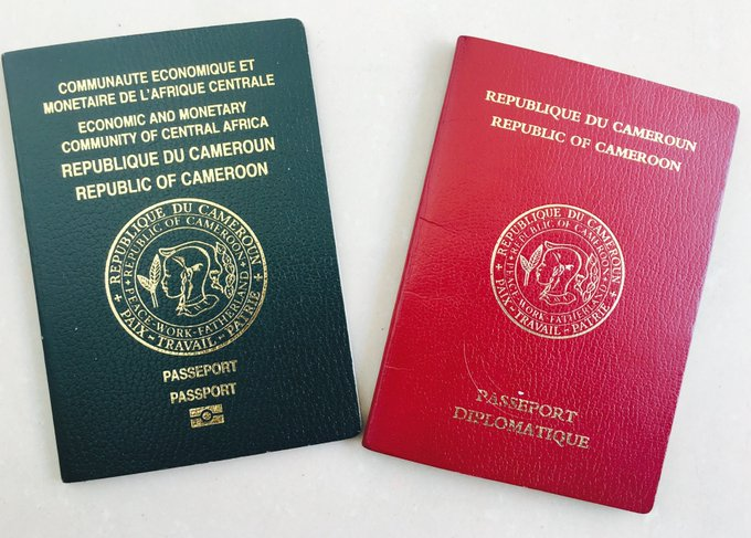 Suriname Visa For Cameroonians